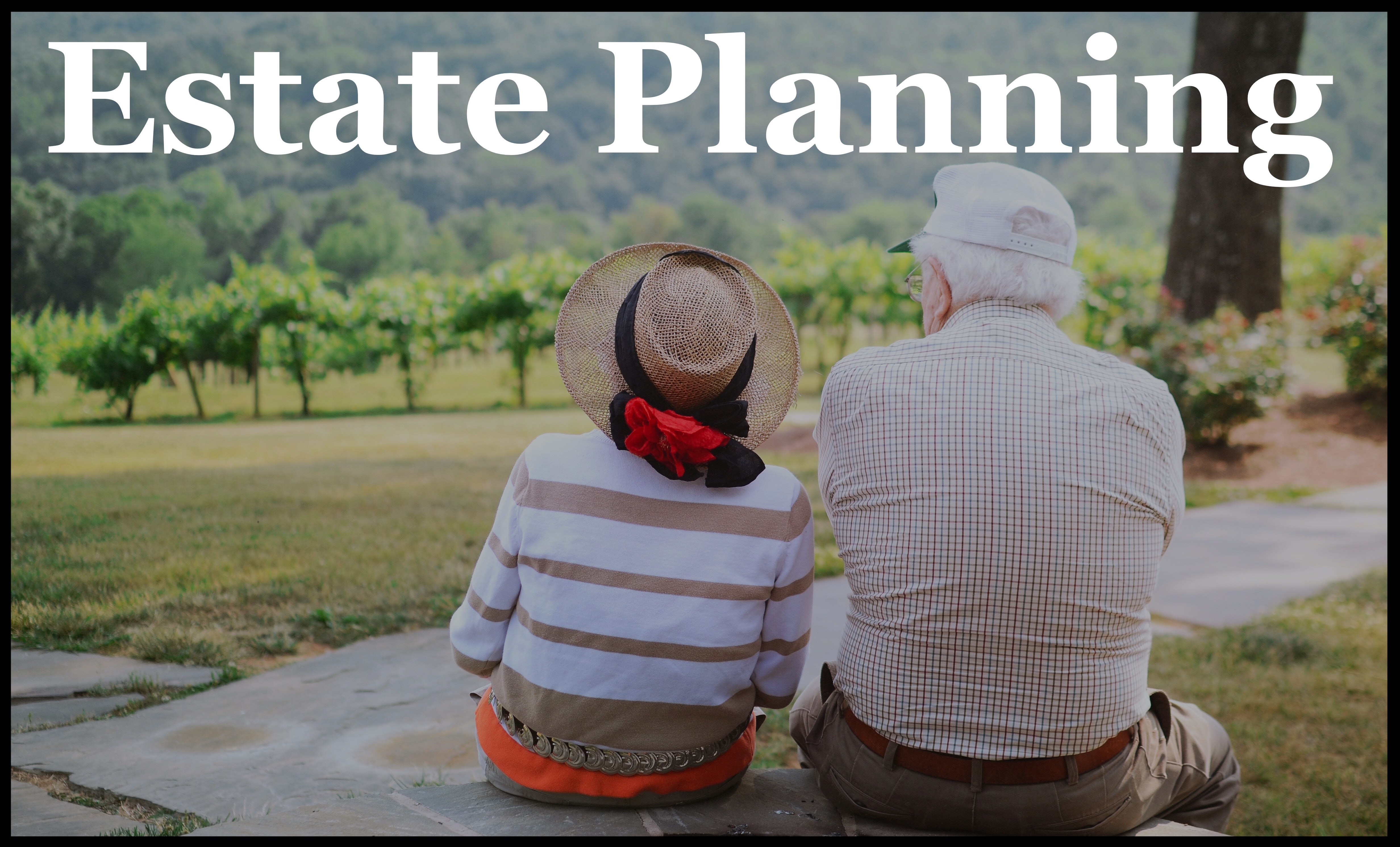 Estate Planning Law